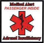 Adrenal Insufficiency Car Window Cling